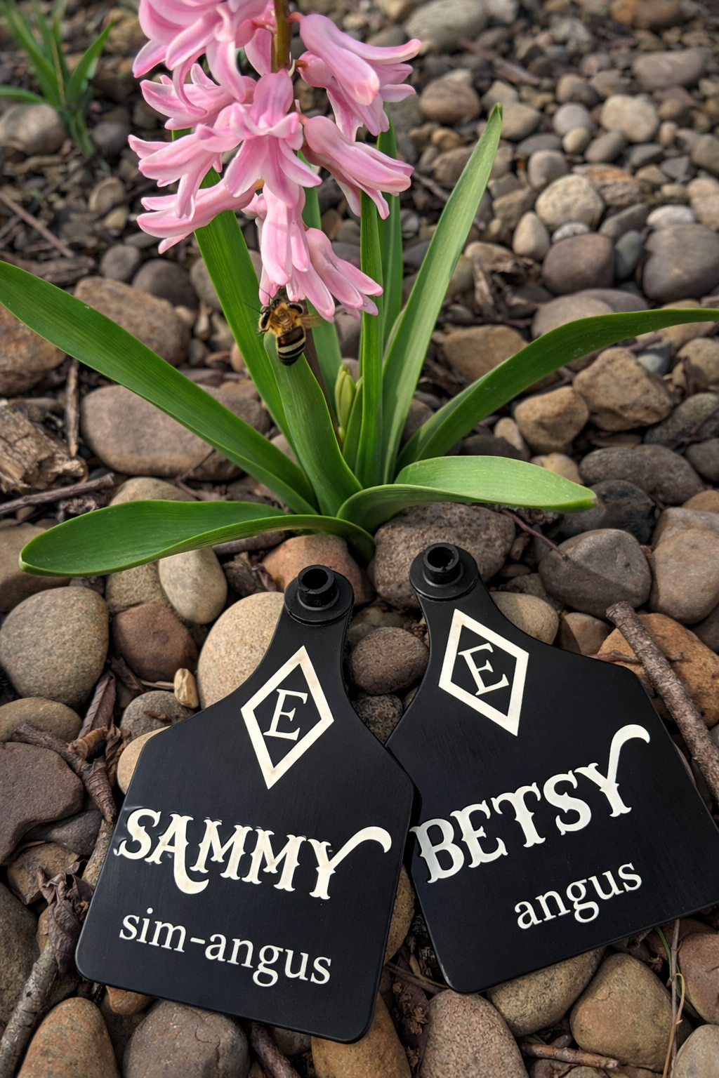 Custom Cattle Tags