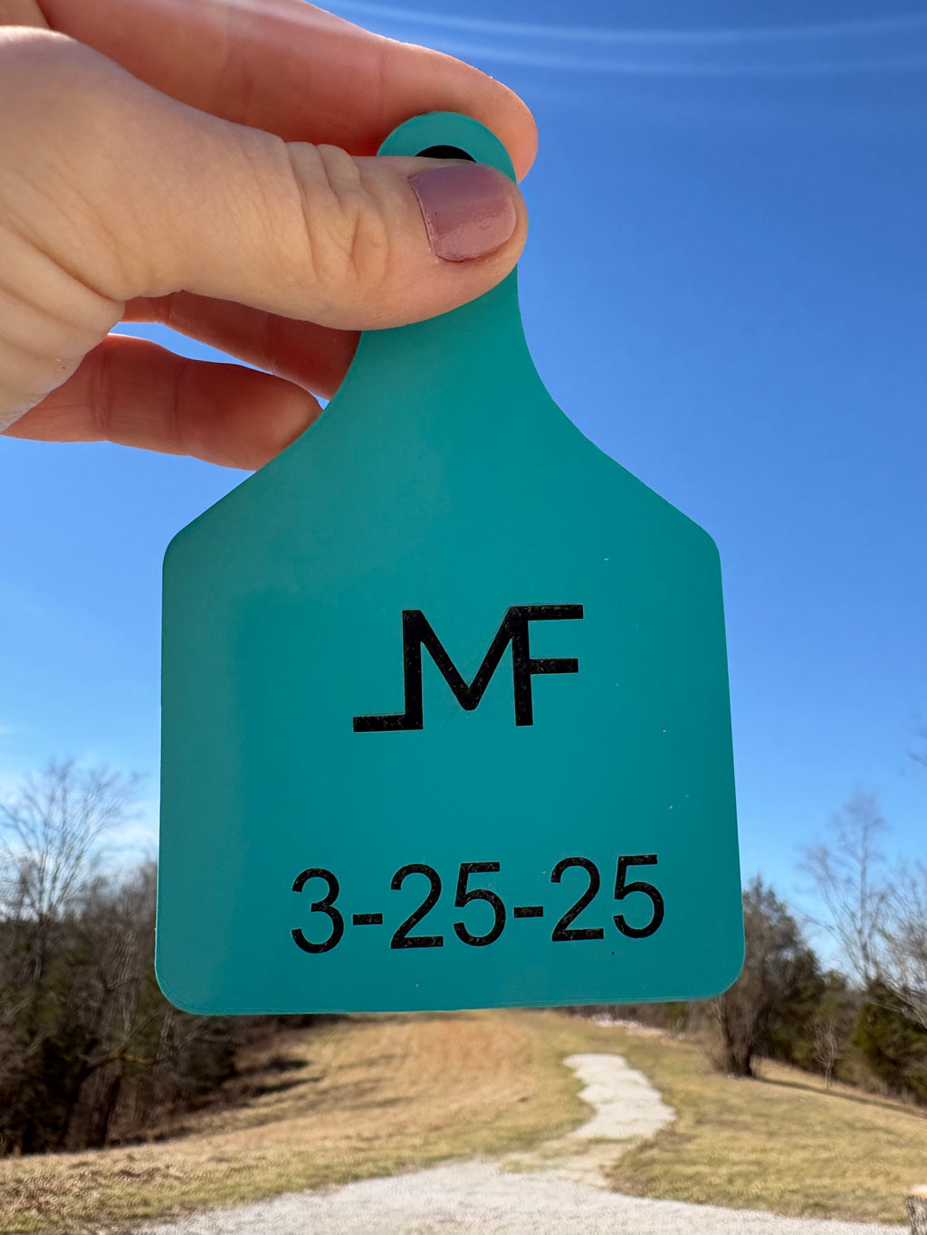 Custom Cattle Tags