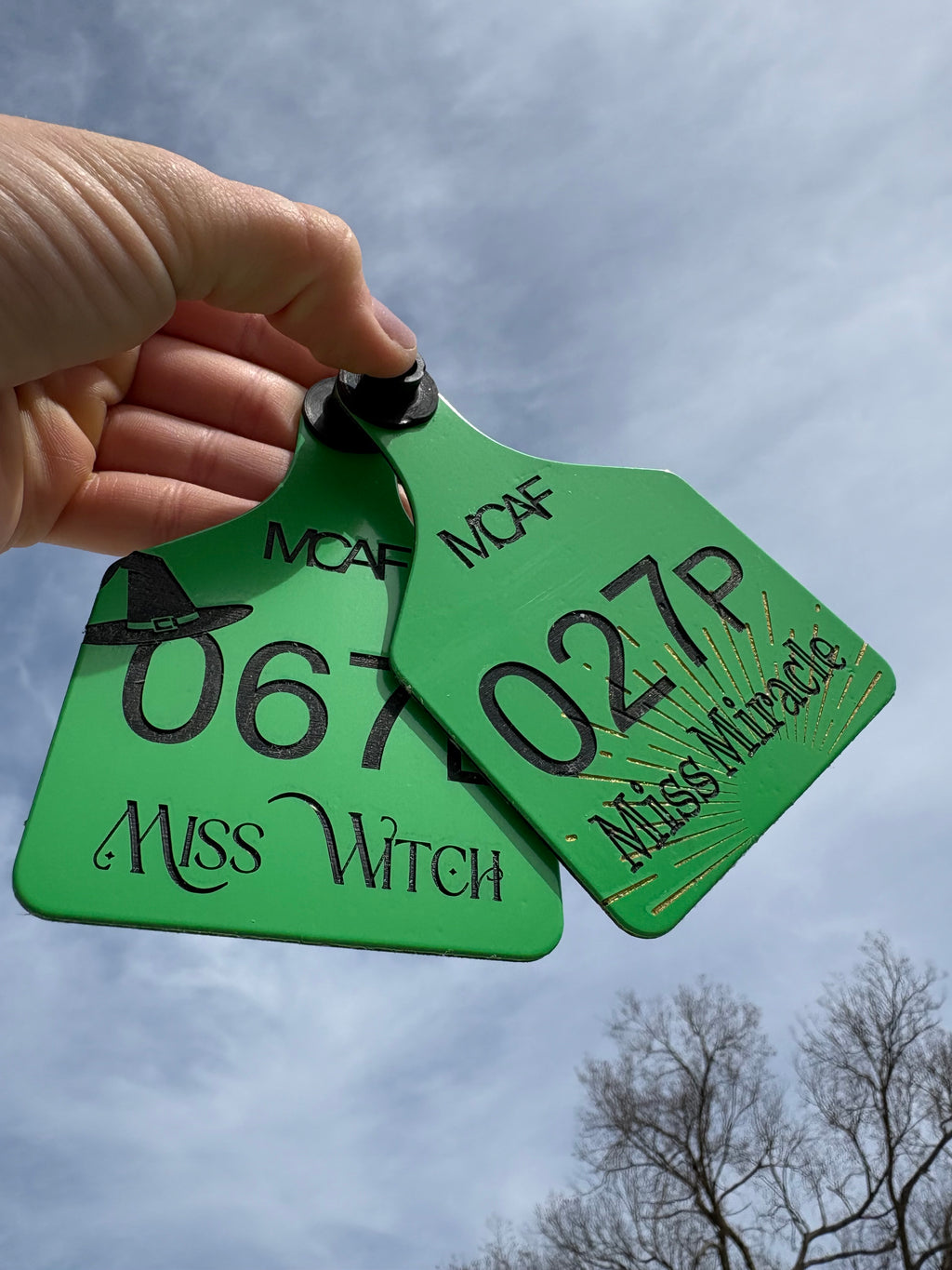 Custom Cattle Tags