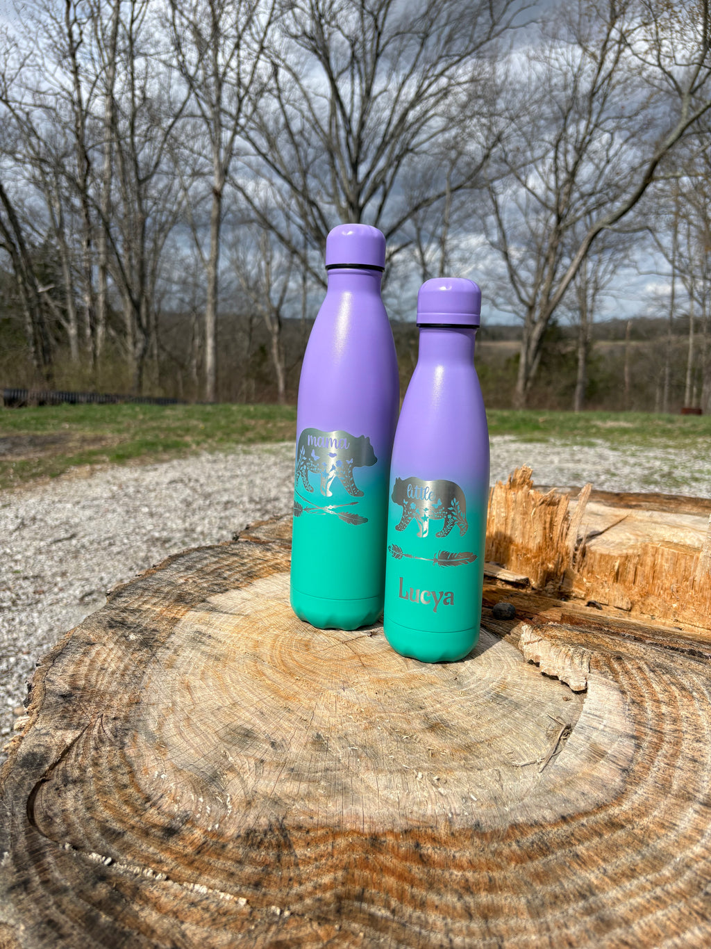 Stainless Steel Water Bottle